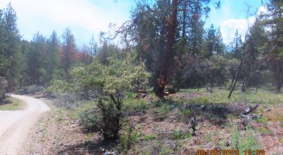 2 adjoining Lots almost 5 acres - Trees - Corner Lot - Camp RV Build