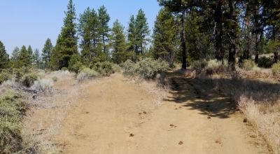 Southern Oregon Sprague River - Trees - Power - Main Road Access
