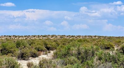1 Full Section of  Nevada Desert & SAND HILLS  *  1 mile by 1 mile *