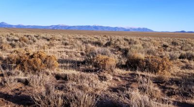 Recreational Camping Lots near Rio Grande River - Several to choose from