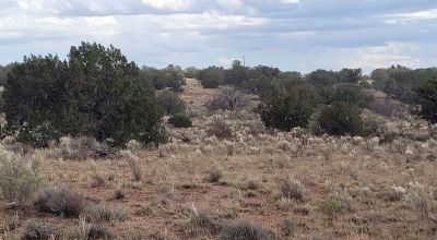 30 acre Central New Mexico Property Windmill Ranch Excellent Roads. Power at Road