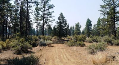 Southern Oregon Sprague River - Trees - Power - Main Road Access
