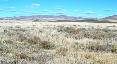 40 Acres Northeast of Crescent Valley - Borders BLM - Huge Views