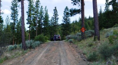 40 acre Forested parcel includes base of the hill and part of the hill - Views Trees