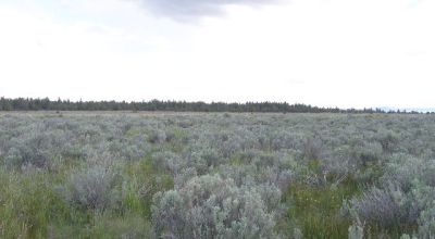 Scenic Oregon 160 acres wide open spaces
