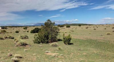 Walking Distance to State Park & Lake
