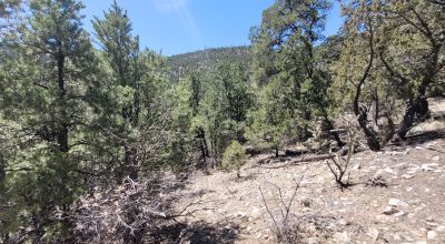 Santa Fe County New Mexico 5 acres in the Mountains - Seasonal Creeks