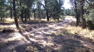 Candy Kitchen area New Mexico - Treed Parcel - Camp RV Build