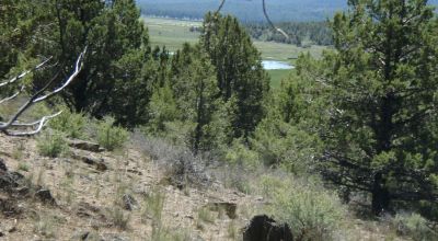 Sprague River Valley Views * Site builds, Mobiles, Modulars allowed