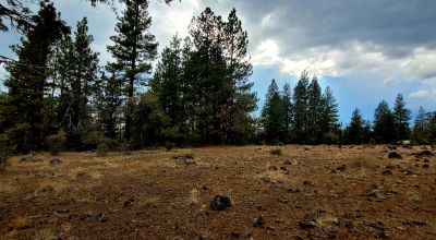 Level Building Lot Oregon - Camp - RV - Build