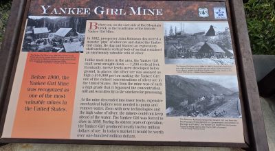 Ouray Colorado -  Red Mountain Mining District- 10 Acres Treed Mountain land