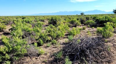 San Luis Valley Southern Colorado  -  Star Filled nights - Vibrant blue skies