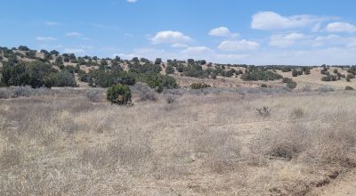 Surrounded by Santa Fe National Forest - Near Las Campanas and Golf Course - 8 Miles from Santa Fe