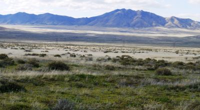 Private 43+ acres * Nevada Mini Ranch * with Massive Western Vistas