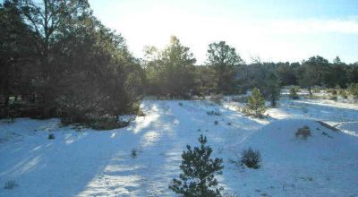 Candy Kitchen area New Mexico - Treed Parcel - Camp RV Build