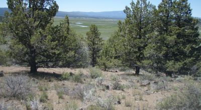 Sprague River Valley Views * Site builds, Mobiles, Modulars allowed