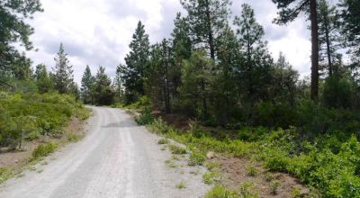 3 adjoining Residential Lots * buy 1 or all 3 * Trees * mobiles allowed
