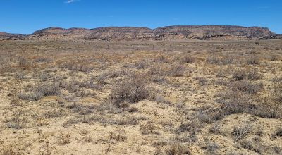 Ambrosia Lake area - 4 adjoining 1 acre parcels - Camp RV Build RV - Scenic desert views