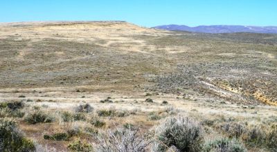 80 acres of Rolling Hills  only $49,000