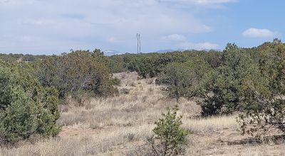 Surrounded by Santa Fe National Forest - Near Las Campanas and Golf Course - 8 Miles from Santa Fe