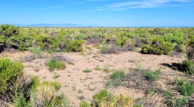 San Luis Valley Southern Colorado  -  Star Filled nights - Vibrant blue skies