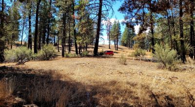Heavily Treed - Power - Backs to Large Open Ranch