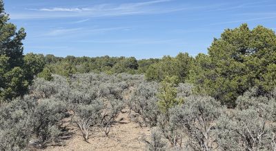 Taos County - Tres Piedras New Mexico 1 acre CAMP, RV, BUILD