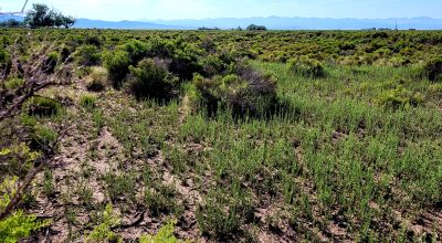 San Luis Valley Southern Colorado  -  Star Filled nights - Vibrant blue skies