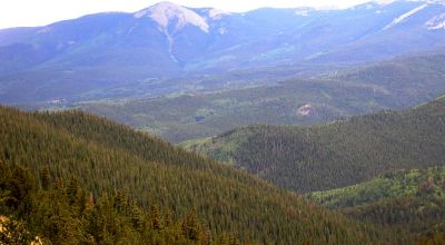 Pristine Mountain Land * Patented Mining Claim near Bonanza Colorado