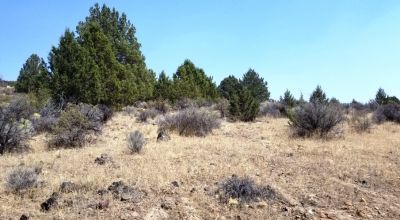 Huge Views of the Sprague River Valley