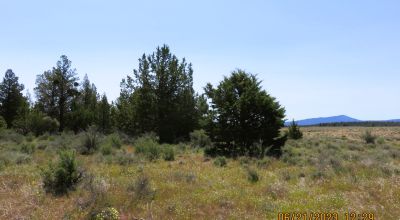 5 acres off the Beaten path - Star filled night skies- Small knoll with trees
