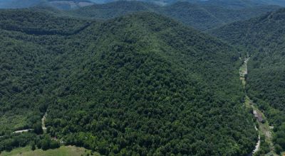 73.67 Unrestricted Acres in Nicholas County West Virginia!