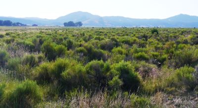 Sweeping mountain and valley views. Small Stream - 5 acres Southern Colorado