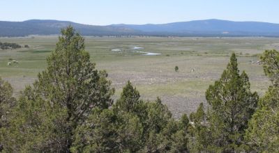 1 of a kind Parcel - On the Hill - Unobstructed Sprague River Views