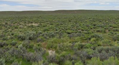 Starry Nights and Adventure of This 1.14-Acre Lot Elko County, NV. Just $196.08/Mo.!
