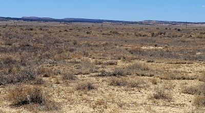 Hwy 509 Frontage - Power at road - Near Ambrosia Lake - Four 1-acre parcels available