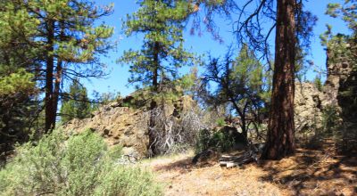 Southerly facing with Unique Rock Formations and trees