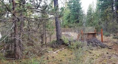 Forested Residential Buildable Parcel