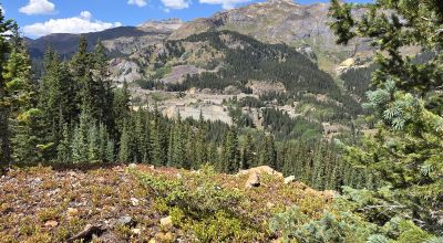 Ouray Colorado -  Red Mountain Mining District- 10 Acres Treed Mountain land