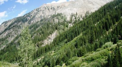 Scenic Pristine Colorado Mountain land - Henson Creek flows thru property