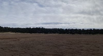 Rare! Bureau of Indian Affairs Inholding 40 acres - New Mexico