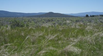 Oregon land * Sprague River Valley