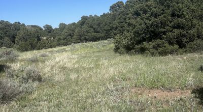 Own 3.44 Acres of Amazing Land in Huerfano, Colorado!