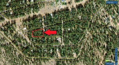 Keno Oregon Heavily Wooded Building Lot - Over One Acre - Power