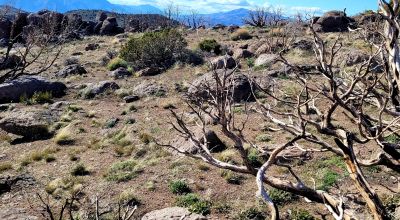 Mountain Land South of Pyramid Lake - Rock Outcroppings - Views Overlooking Palomino Valley