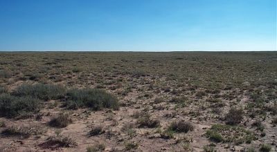 Camp * RV * Build in the Arizona desert. Near Petrified Forest and Painted Desert