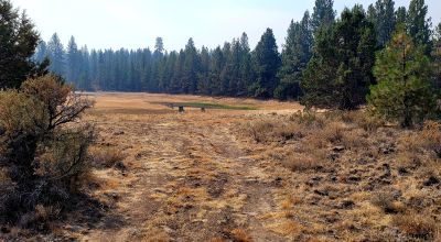 Unique and Rare Parcel Near Bly Mountain Pass - Borders  Pond - Meadows