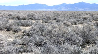 2 adjoining 80 acre parcels * Dolly Varden