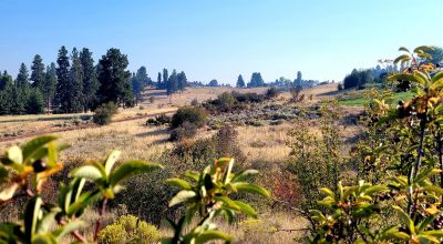 Huge Views - Bowl type setting - End of cul-de-sac near Henzel Park & Agency Lake