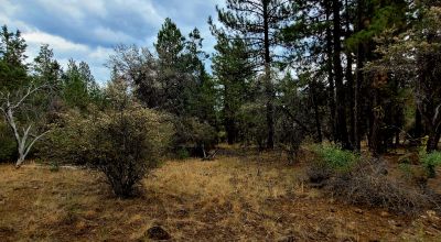 Level Building Lot Oregon - Camp - RV - Build